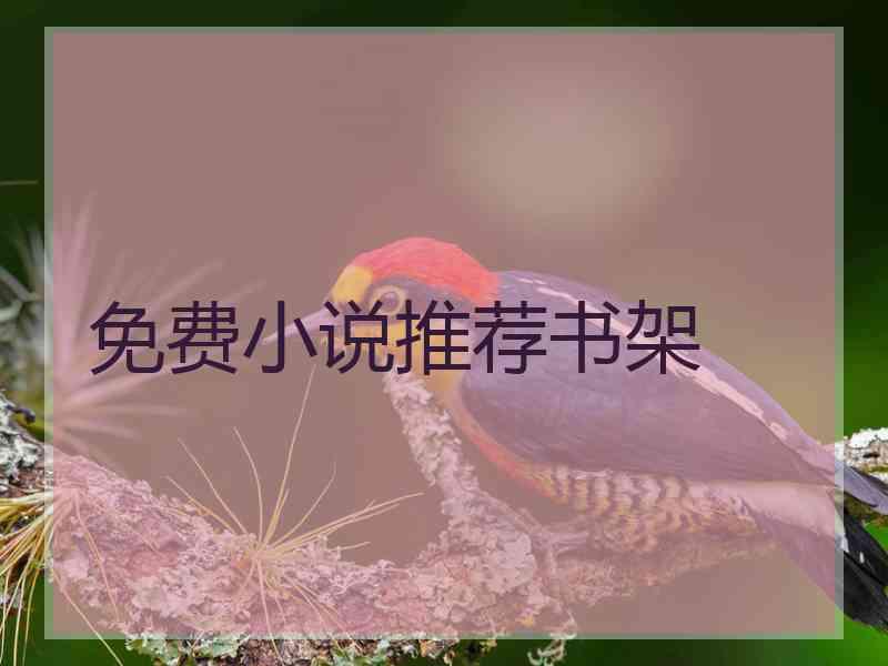 免费小说推荐书架