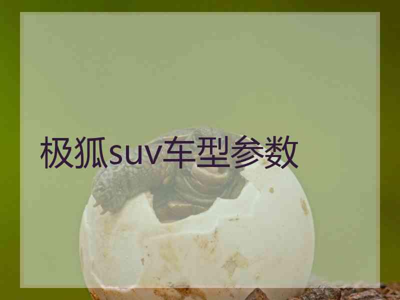 极狐suv车型参数