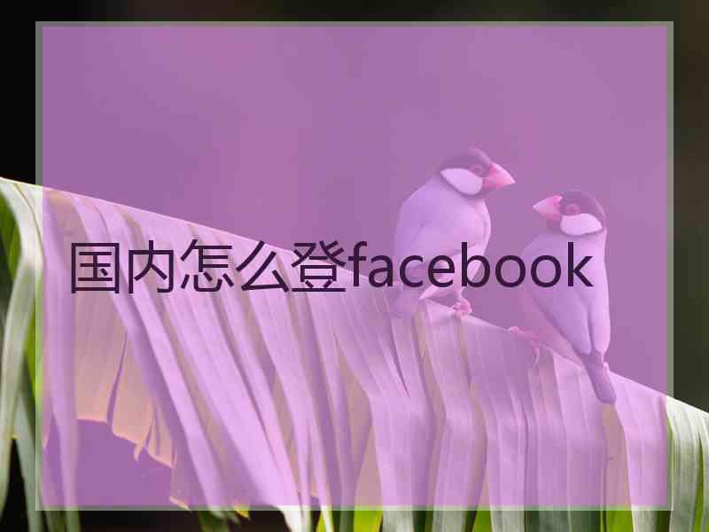 国内怎么登facebook