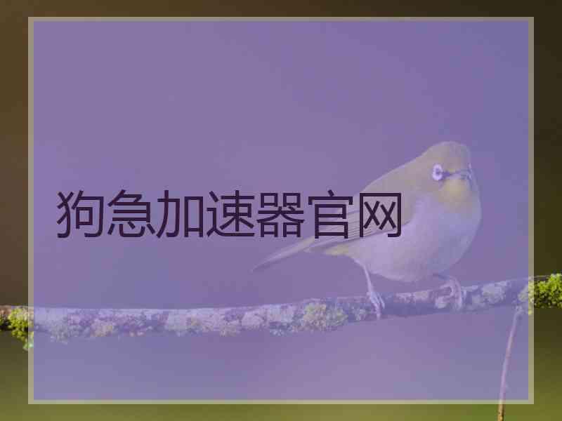 狗急加速器官网