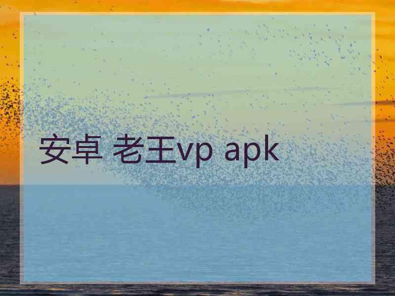 安卓 老王vp apk