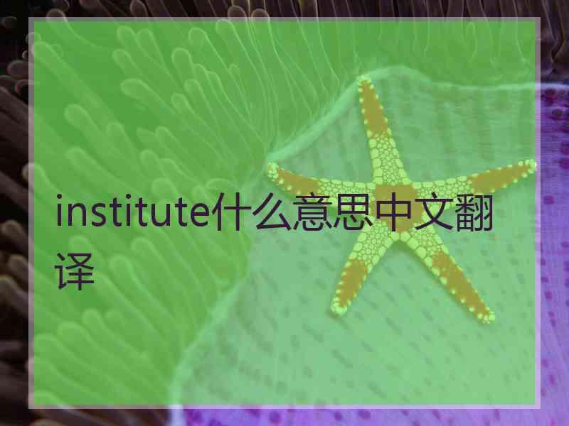 institute什么意思中文翻译