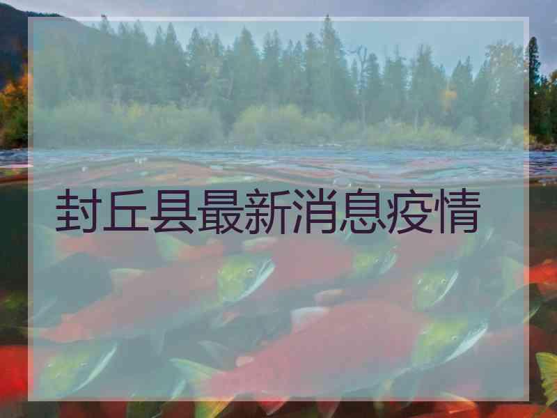 封丘县最新消息疫情