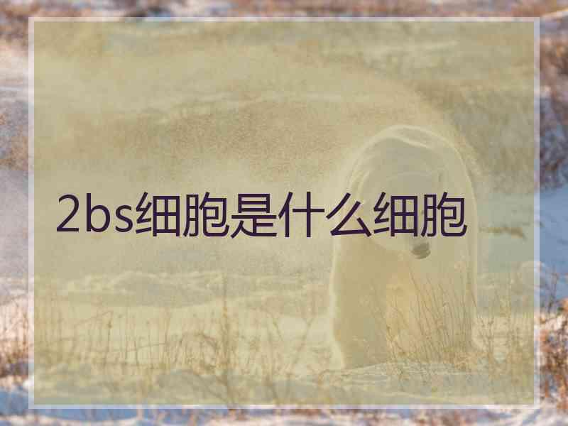 2bs细胞是什么细胞