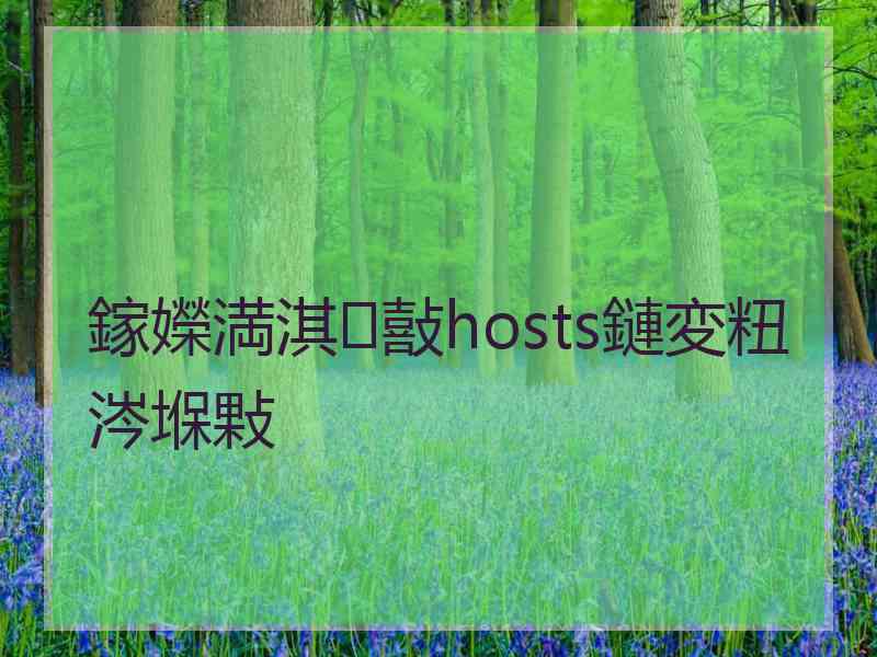 鎵嬫満淇敼hosts鏈変粈涔堢敤