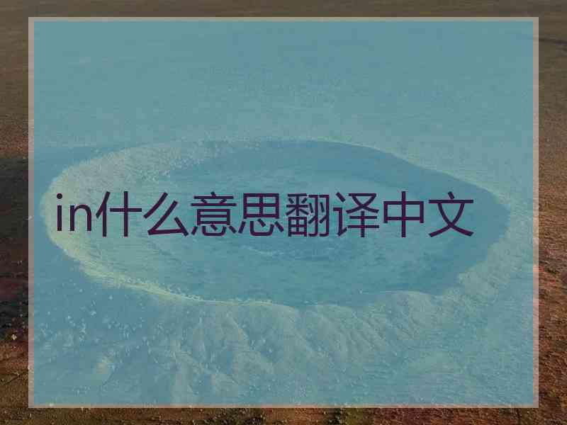 in什么意思翻译中文