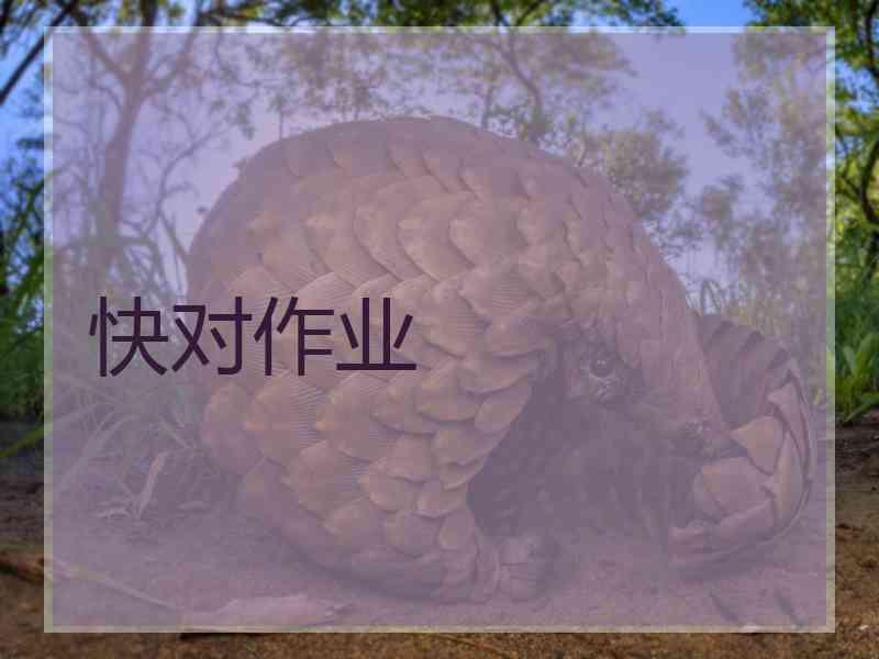 快对作业