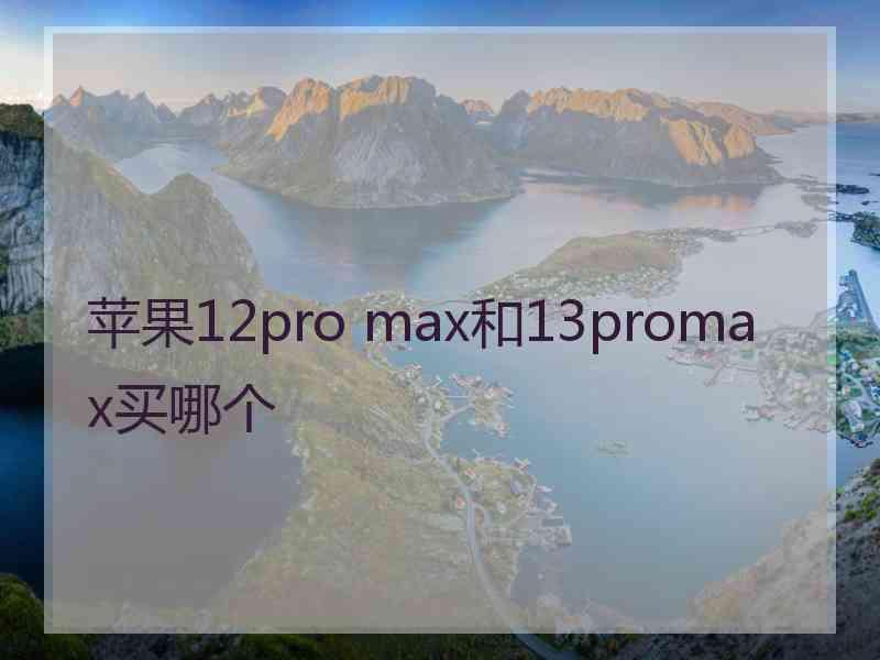 苹果12pro max和13promax买哪个