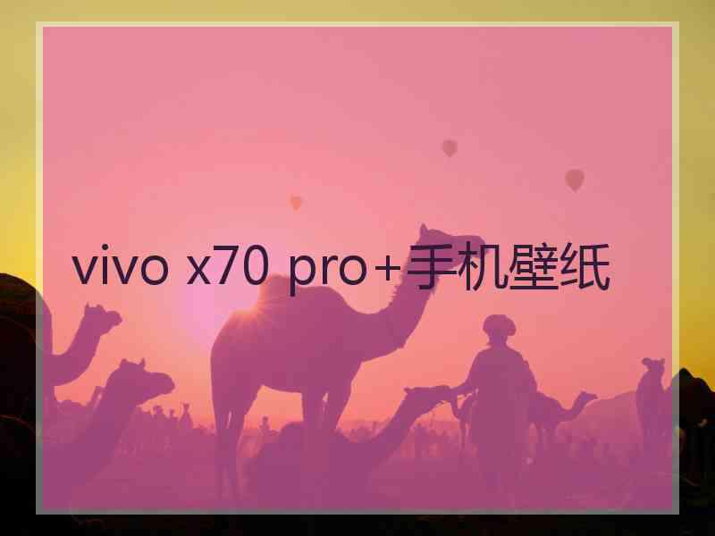 vivo x70 pro+手机壁纸