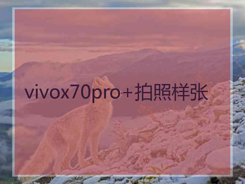 vivox70pro+拍照样张