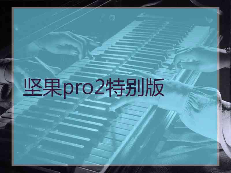 坚果pro2特别版