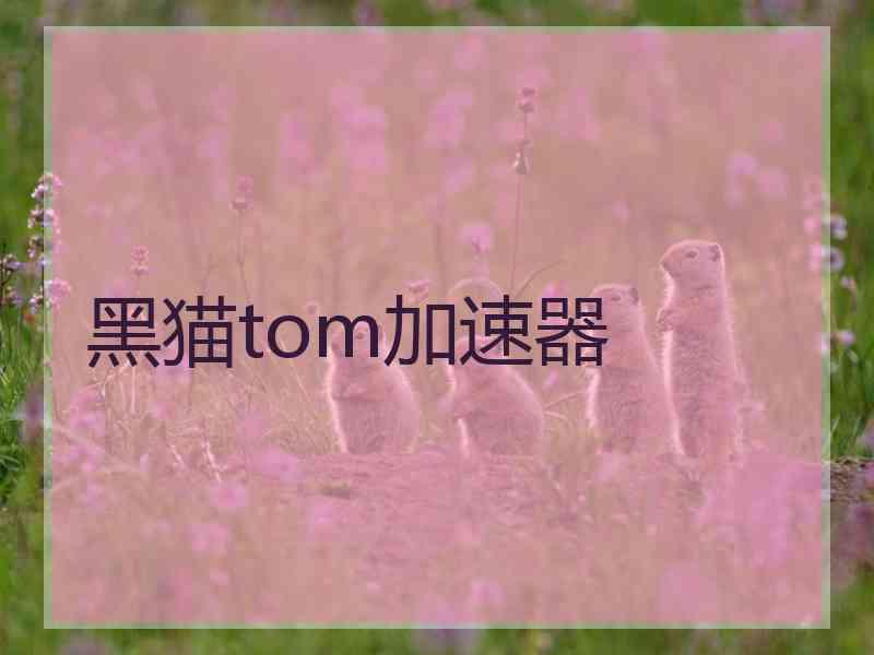 黑猫tom加速器