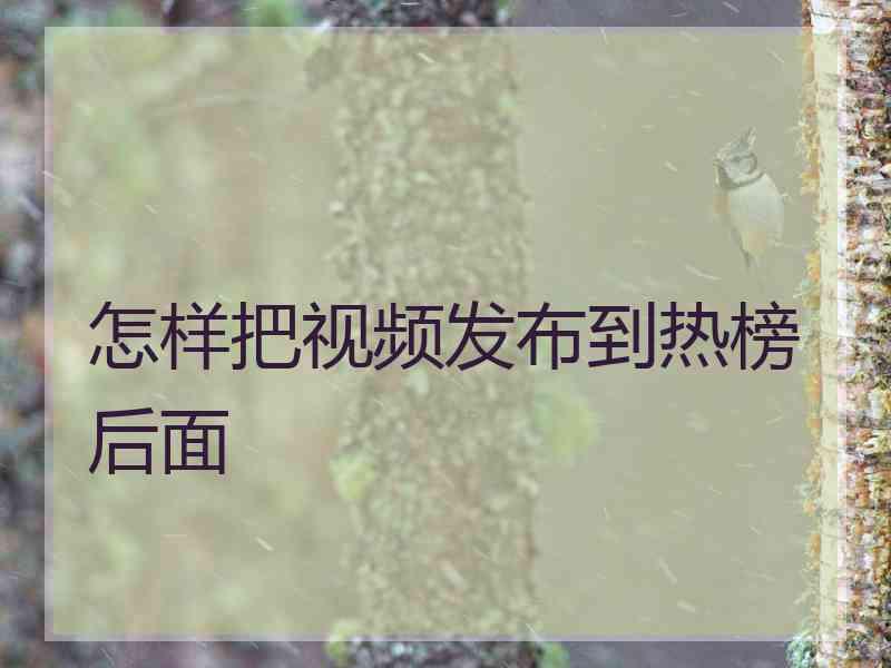 怎样把视频发布到热榜后面