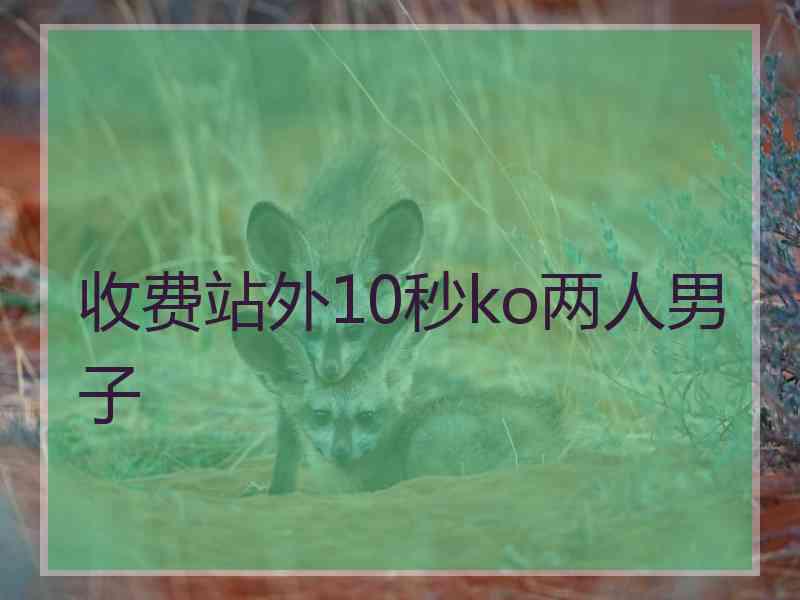 收费站外10秒ko两人男子