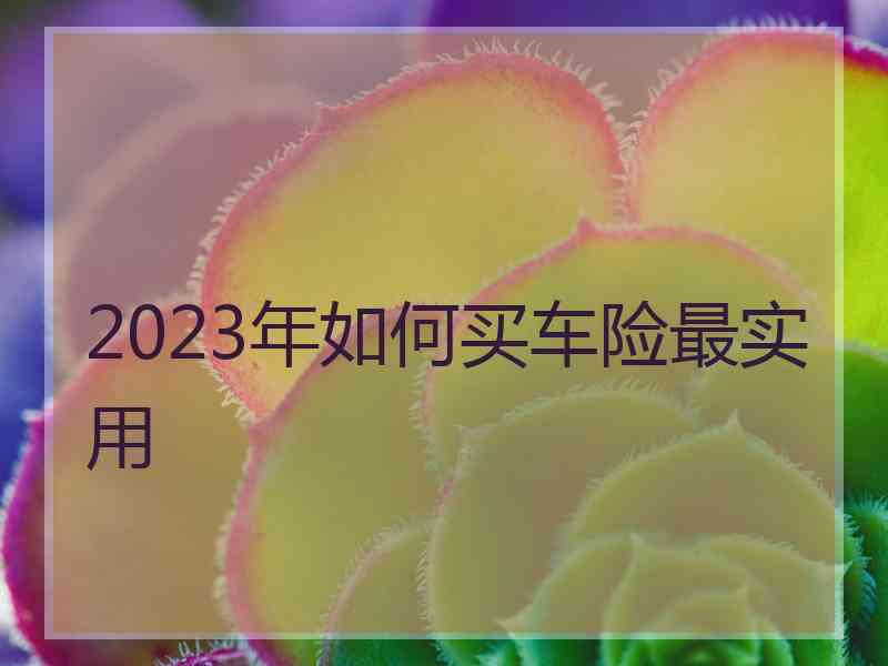 2023年如何买车险最实用