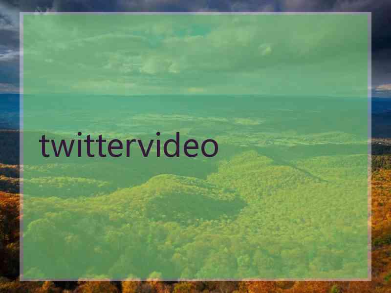 twittervideo