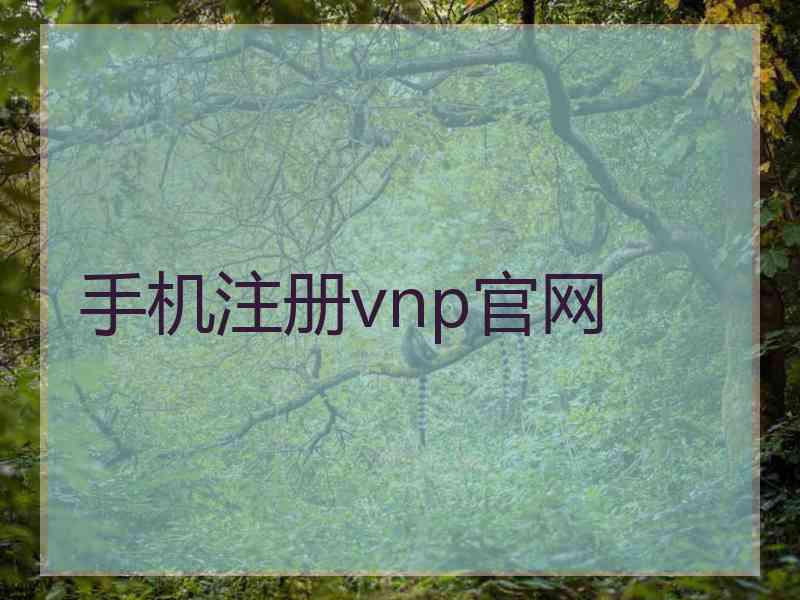 手机注册vnp官网