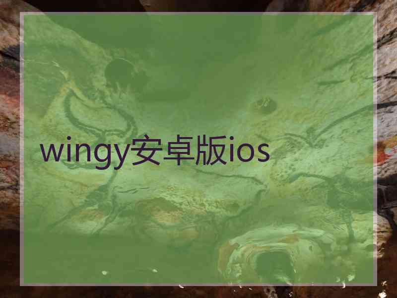 wingy安卓版ios