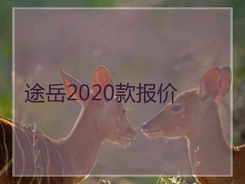 途岳2020款报价