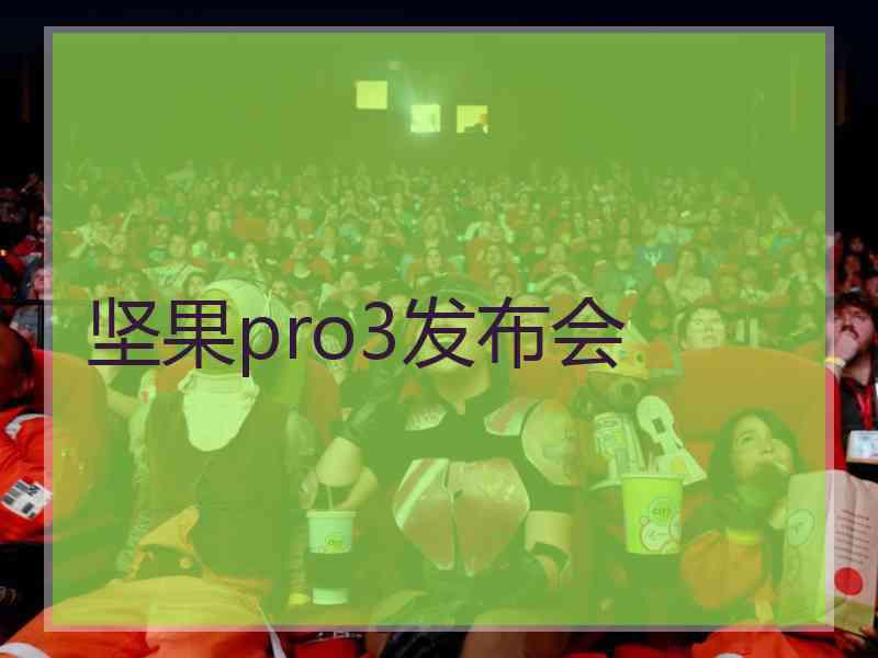 坚果pro3发布会