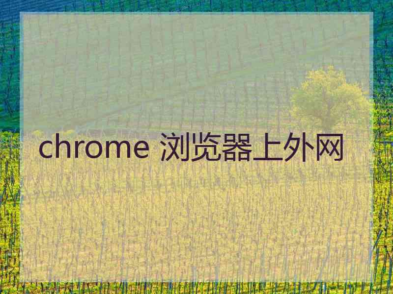 chrome 浏览器上外网