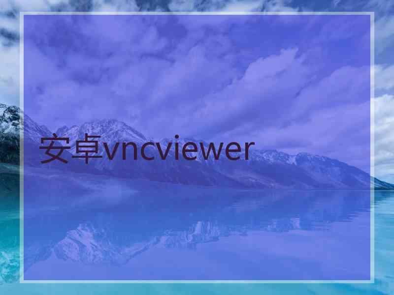 安卓vncviewer