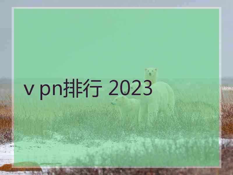 ⅴpn排行 2023