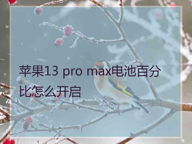 苹果13 pro max电池百分比怎么开启