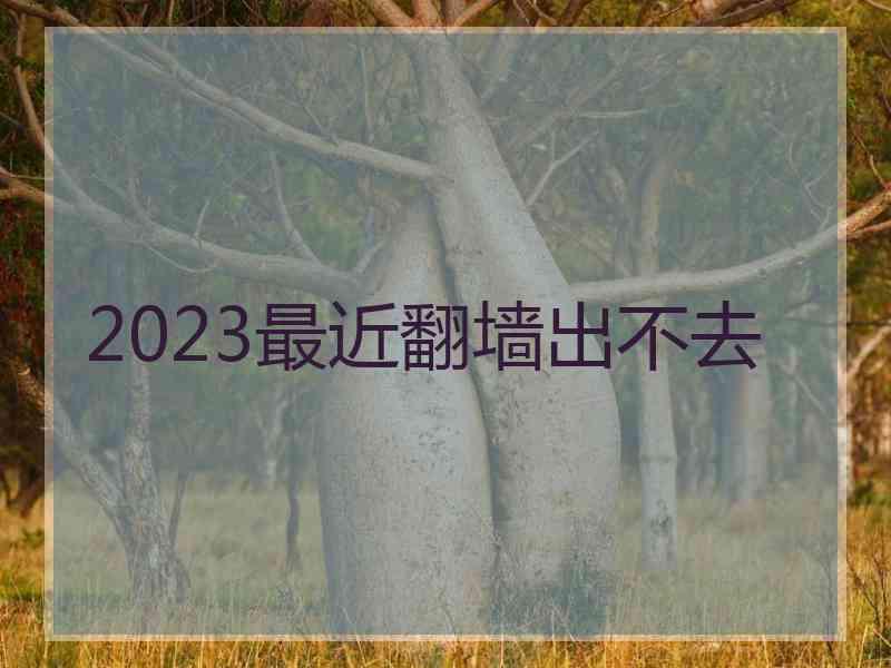 2023最近翻墙出不去