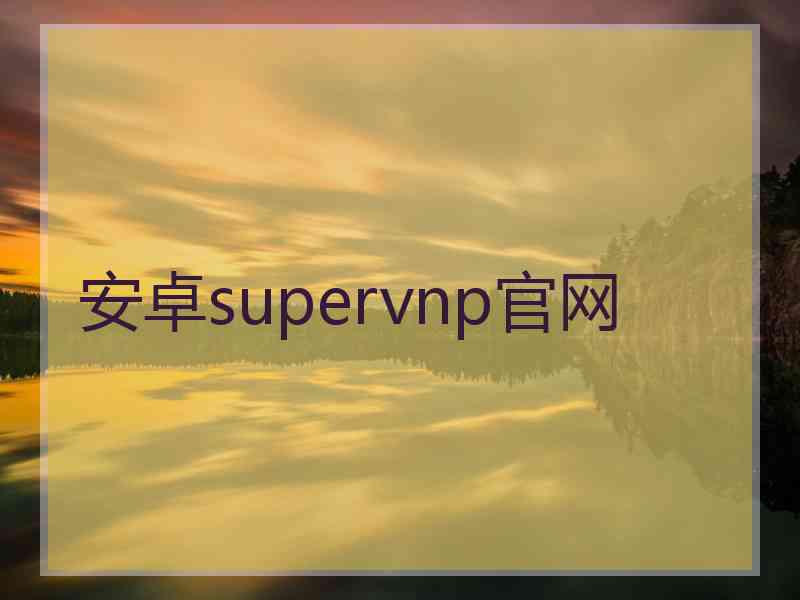 安卓supervnp官网