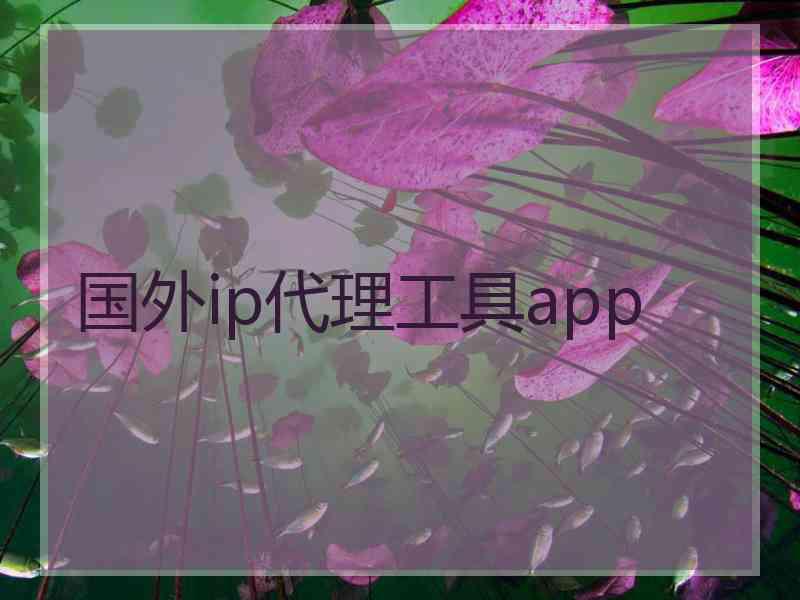 国外ip代理工具app