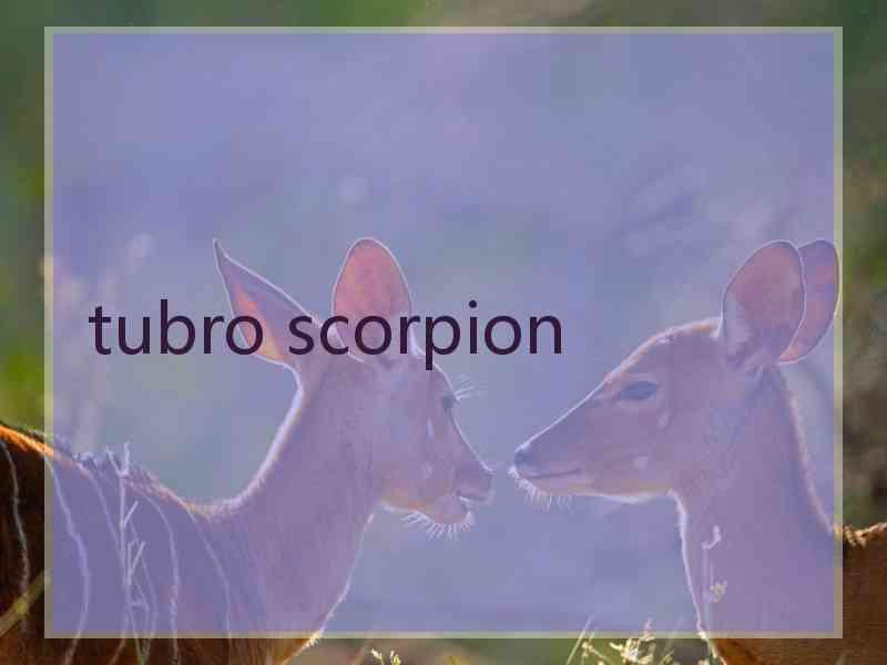 tubro scorpion