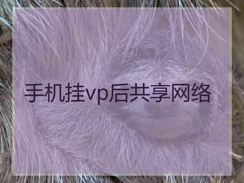 手机挂vp后共享网络