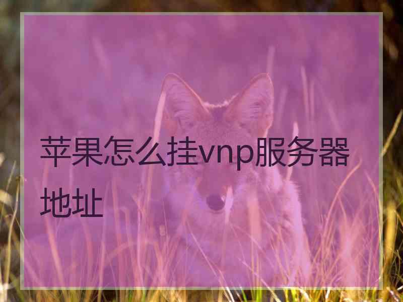 苹果怎么挂vnp服务器地址