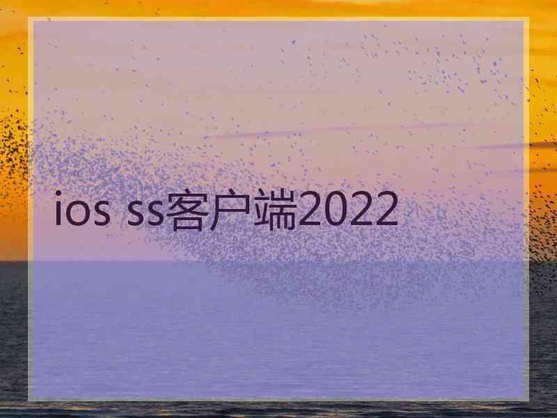 ios ss客户端2022