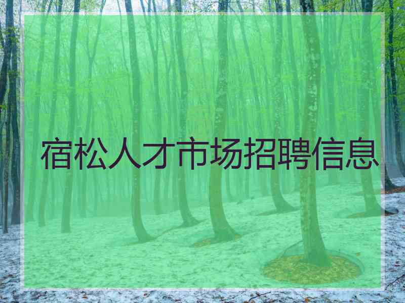 宿松人才市场招聘信息