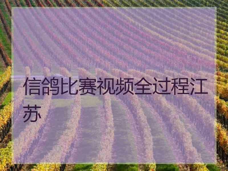 信鸽比赛视频全过程江苏