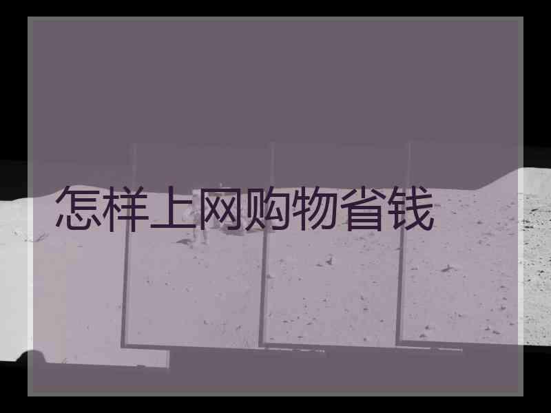 怎样上网购物省钱