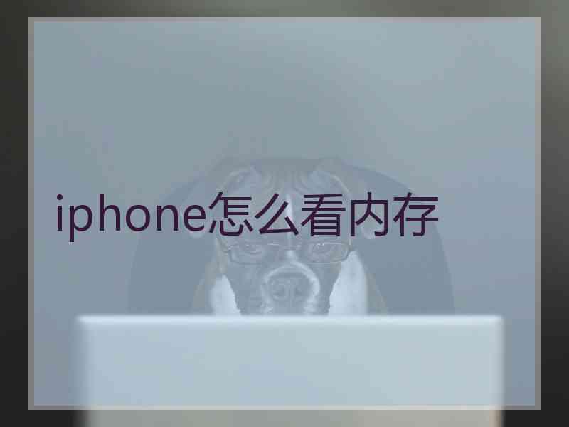 iphone怎么看内存