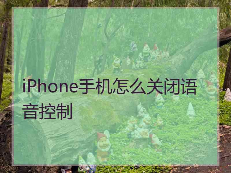 iPhone手机怎么关闭语音控制