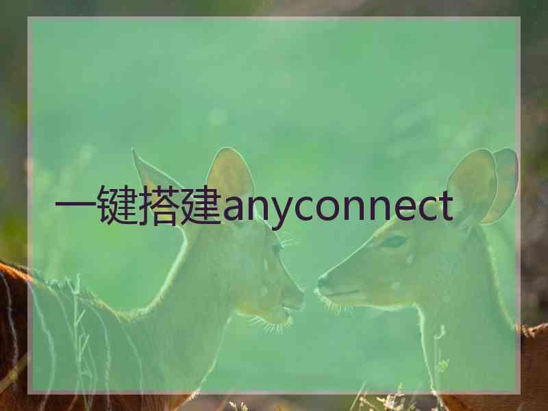 一键搭建anyconnect