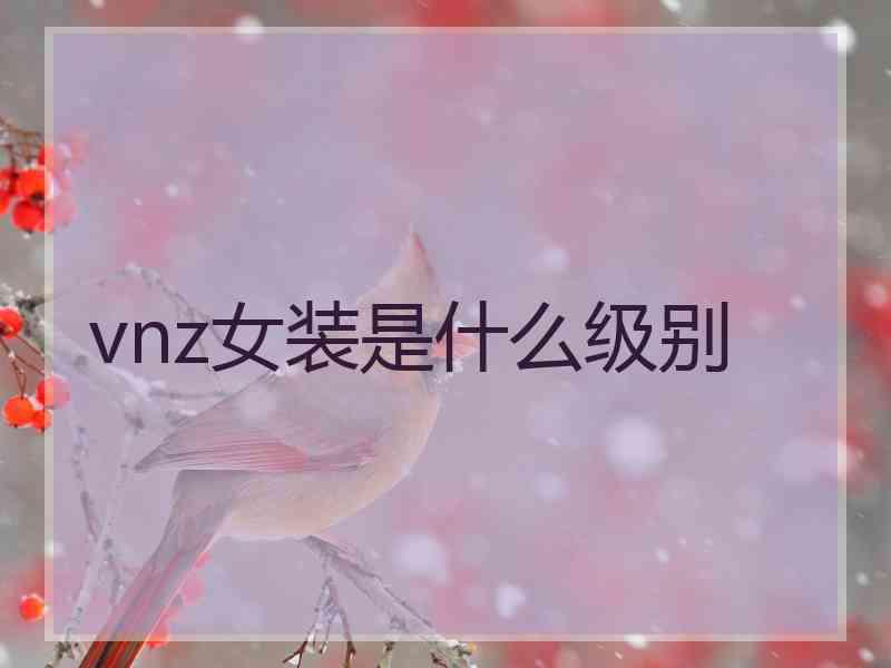 vnz女装是什么级别