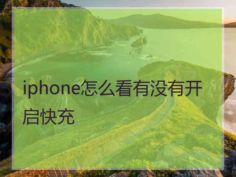 iphone怎么看有没有开启快充