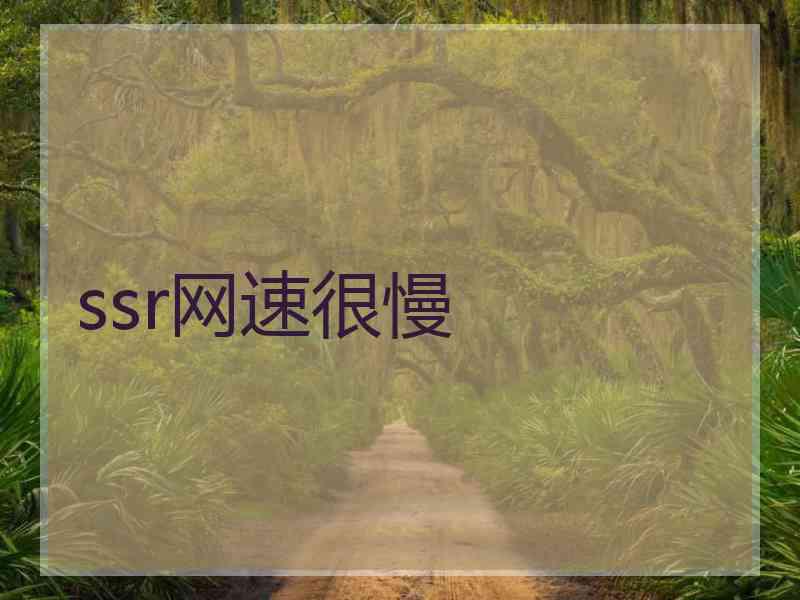 ssr网速很慢