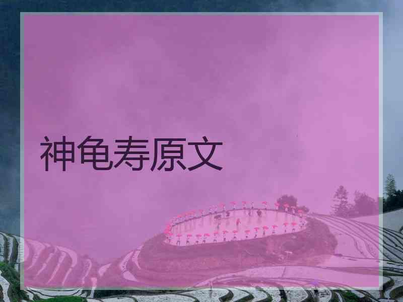 神龟寿原文