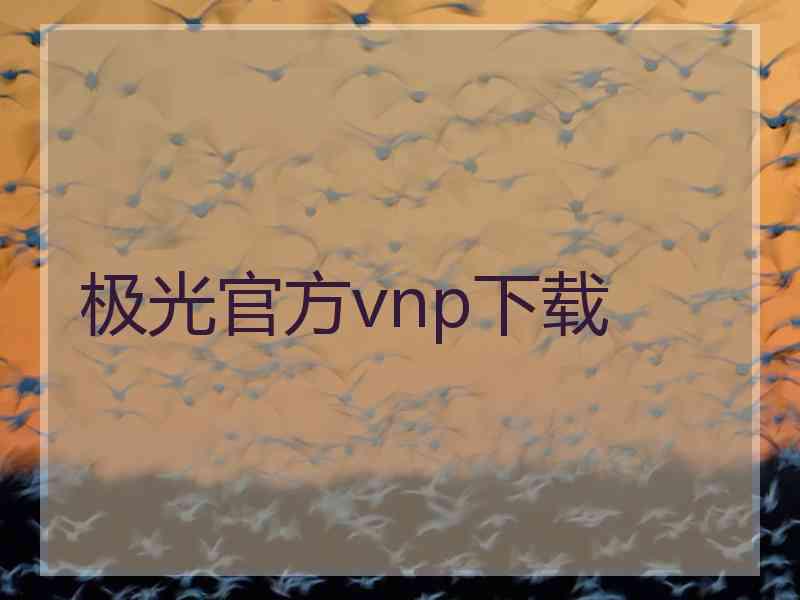 极光官方vnp下载