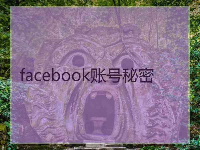 facebook账号秘密