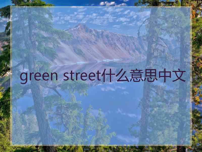 green street什么意思中文