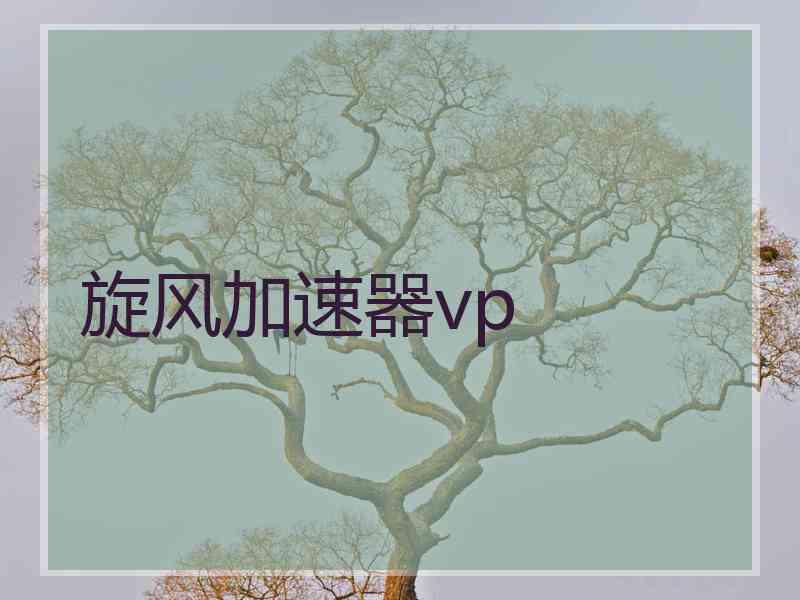 旋风加速器vp