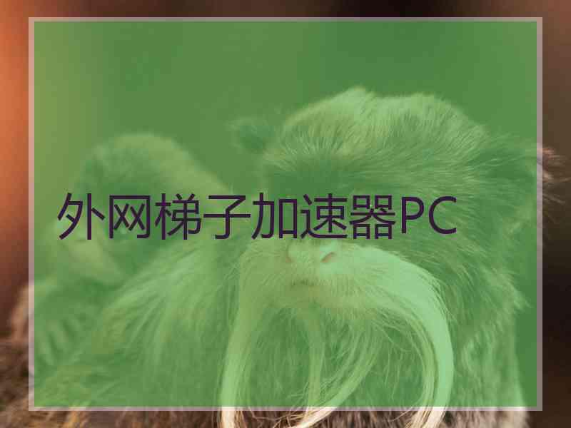 外网梯子加速器PC